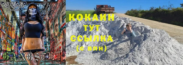 винт Лабытнанги
