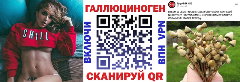 Галлюциногенные грибы мицелий  Купить  Анапа 